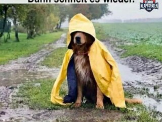 FB_IMG_1753787074399